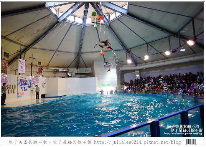 登別海洋公園尼克斯 (39) 登別海洋公園尼克斯 (39)