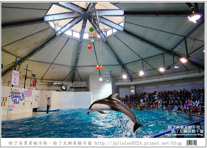 登別海洋公園尼克斯 (40) 登別海洋公園尼克斯 (40)