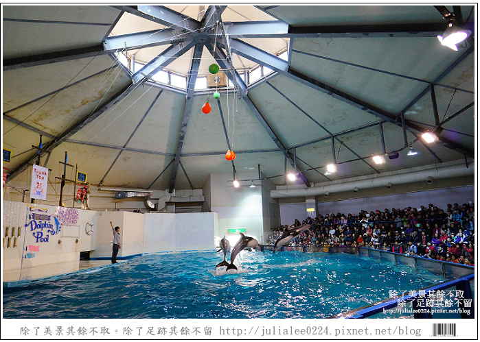 登別海洋公園尼克斯 (41) 登別海洋公園尼克斯 (41)