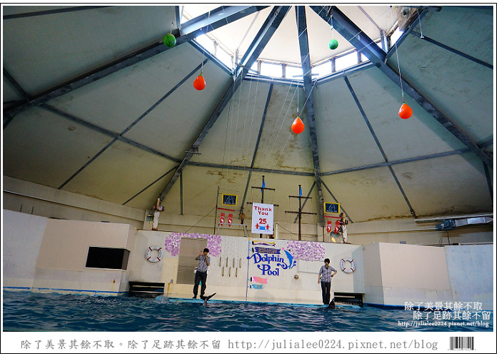 登別海洋公園尼克斯 (42) 登別海洋公園尼克斯 (42)