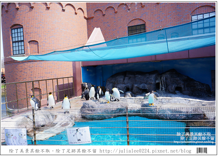 登別海洋公園尼克斯 (43) 登別海洋公園尼克斯 (43)