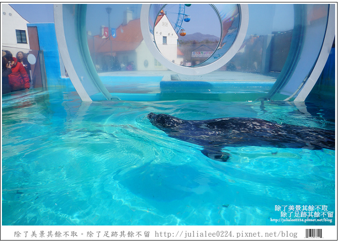 登別海洋公園尼克斯 (44) 登別海洋公園尼克斯 (44)
