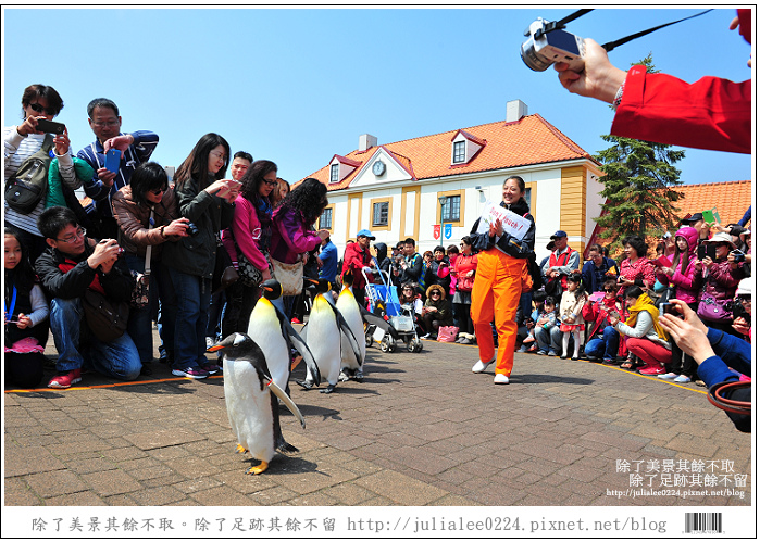 登別海洋公園尼克斯 (54) 登別海洋公園尼克斯 (54)