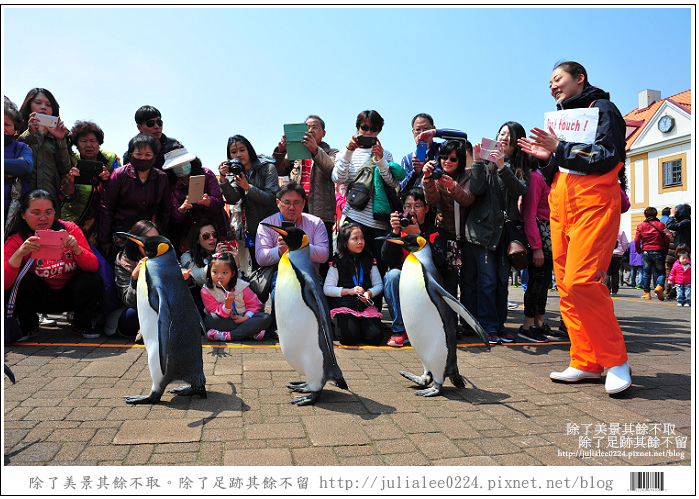 登別海洋公園尼克斯 (56) 登別海洋公園尼克斯 (56)