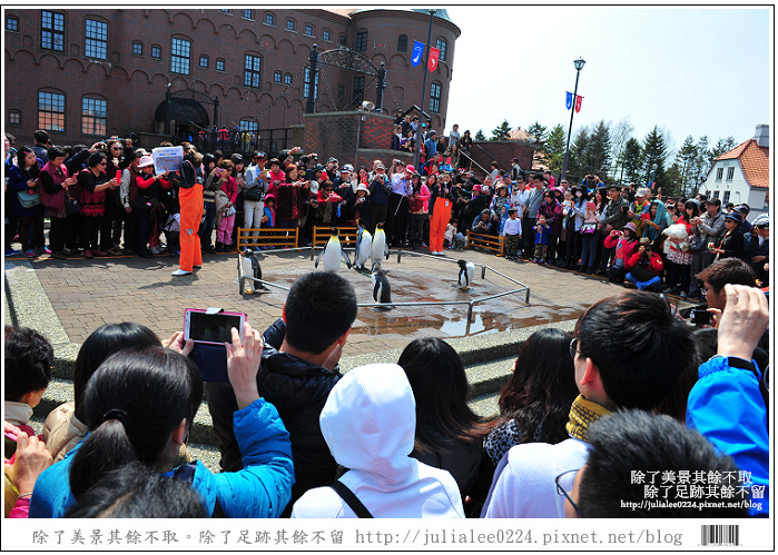 登別海洋公園尼克斯 (57) 登別海洋公園尼克斯 (57)