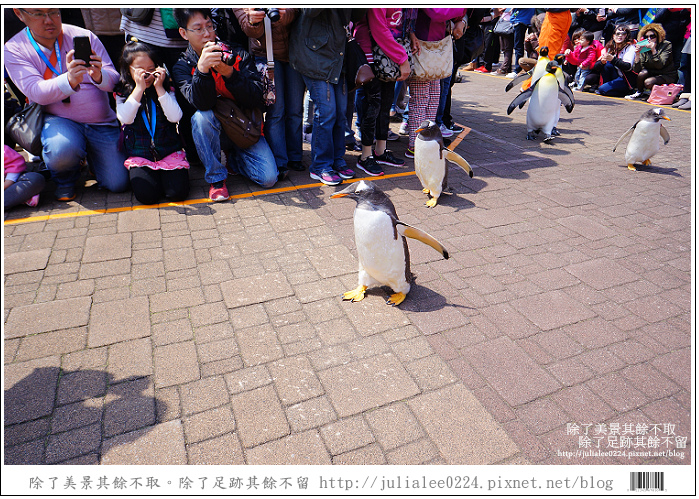登別海洋公園尼克斯 (60) 登別海洋公園尼克斯 (60)
