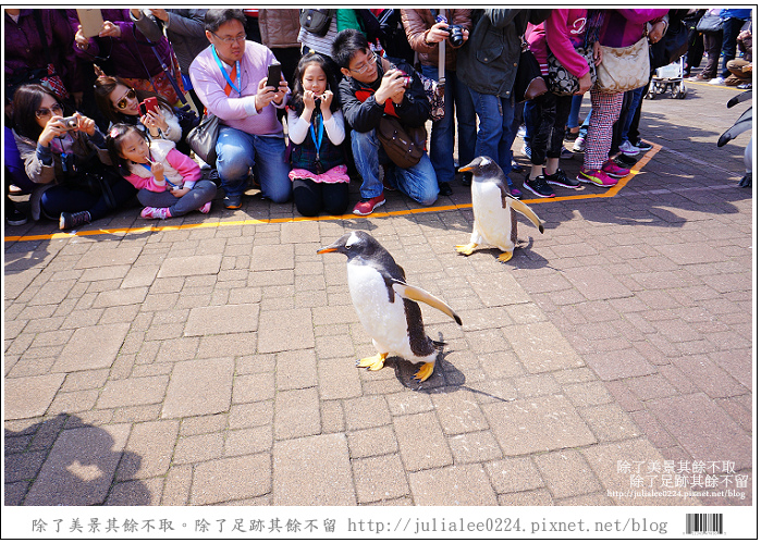 登別海洋公園尼克斯 (61) 登別海洋公園尼克斯 (61)
