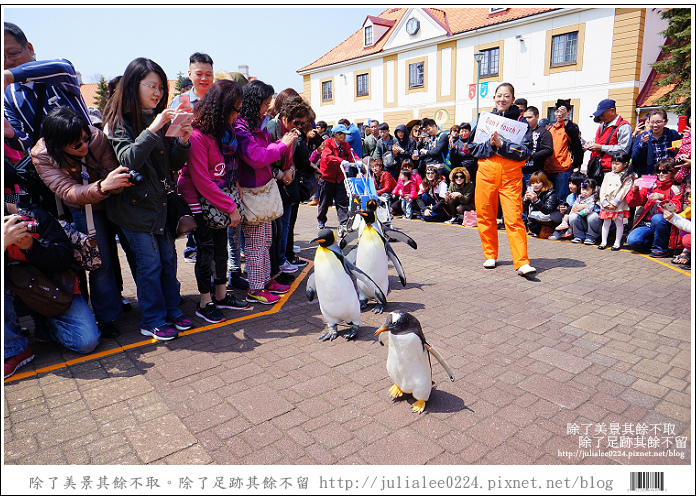 登別海洋公園尼克斯 (62) 登別海洋公園尼克斯 (62)