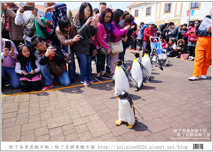 登別海洋公園尼克斯 (63) 登別海洋公園尼克斯 (63)