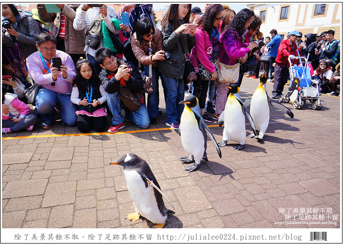 登別海洋公園尼克斯 (64)