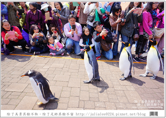 登別海洋公園尼克斯 (65) 登別海洋公園尼克斯 (65)