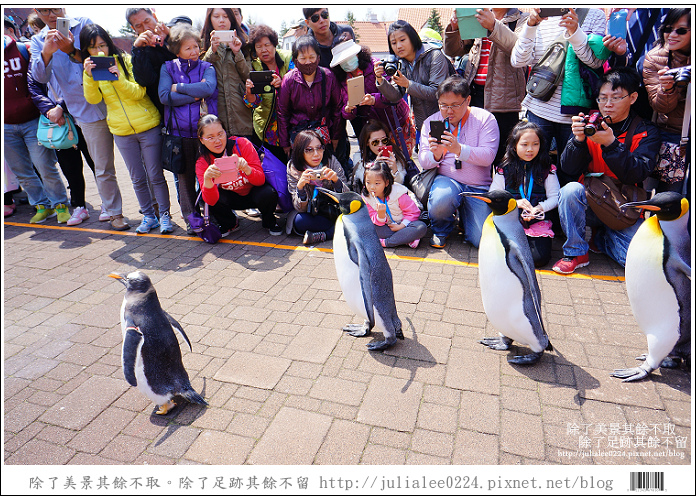 登別海洋公園尼克斯 (66)