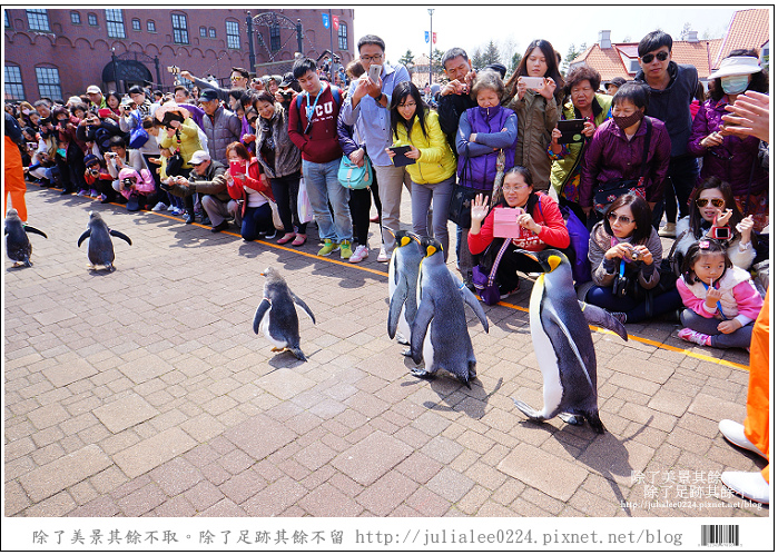 登別海洋公園尼克斯 (67)