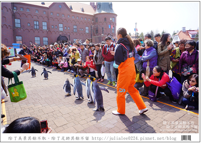 登別海洋公園尼克斯 (68) 登別海洋公園尼克斯 (68)