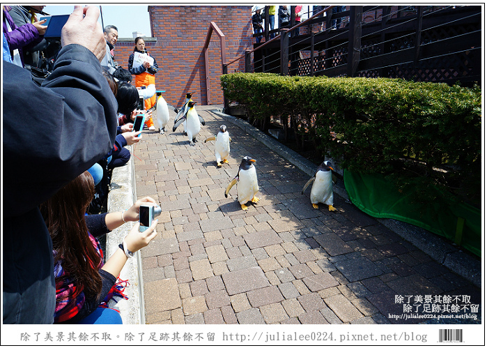 登別海洋公園尼克斯 (70) 登別海洋公園尼克斯 (70)