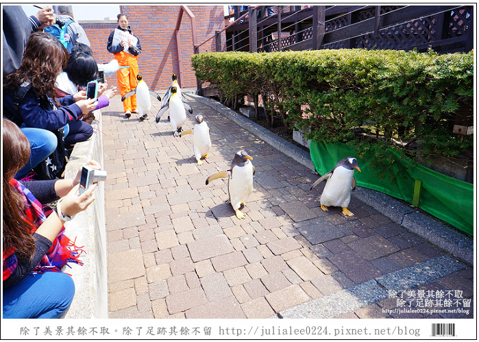 登別海洋公園尼克斯 (71) 登別海洋公園尼克斯 (71)