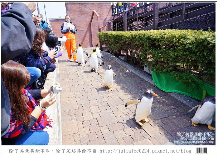 登別海洋公園尼克斯 (72) 登別海洋公園尼克斯 (72)