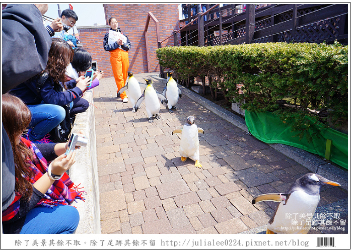 登別海洋公園尼克斯 (73)