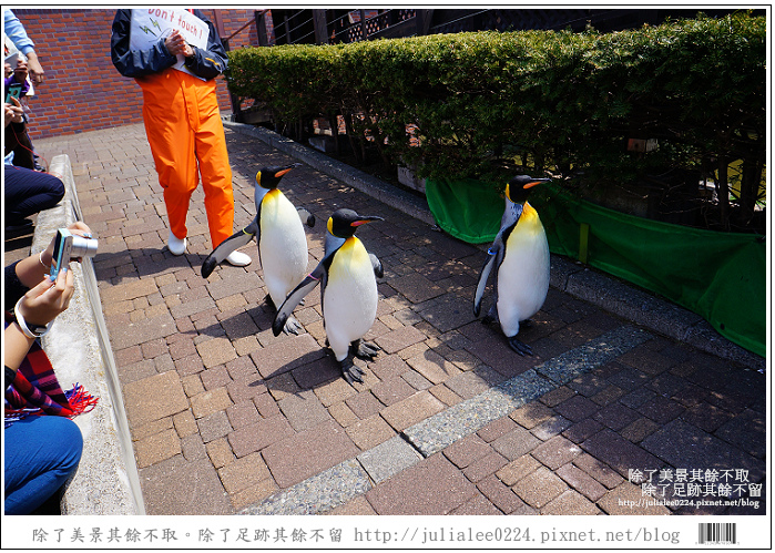 登別海洋公園尼克斯 (75) 登別海洋公園尼克斯 (75)