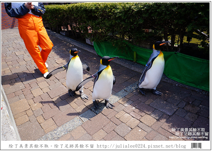 登別海洋公園尼克斯 (76) 登別海洋公園尼克斯 (76)