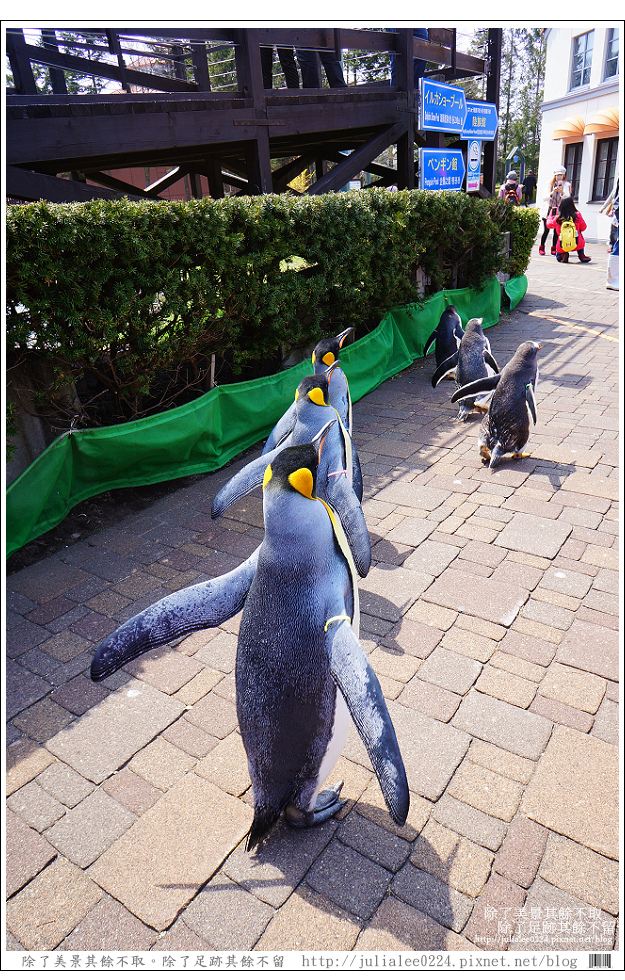 登別海洋公園尼克斯 (78) 登別海洋公園尼克斯 (78)