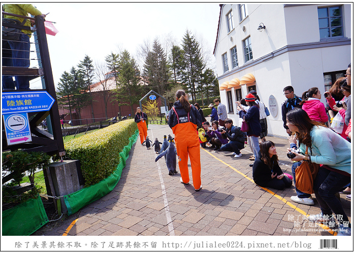 登別海洋公園尼克斯 (79) 登別海洋公園尼克斯 (79)