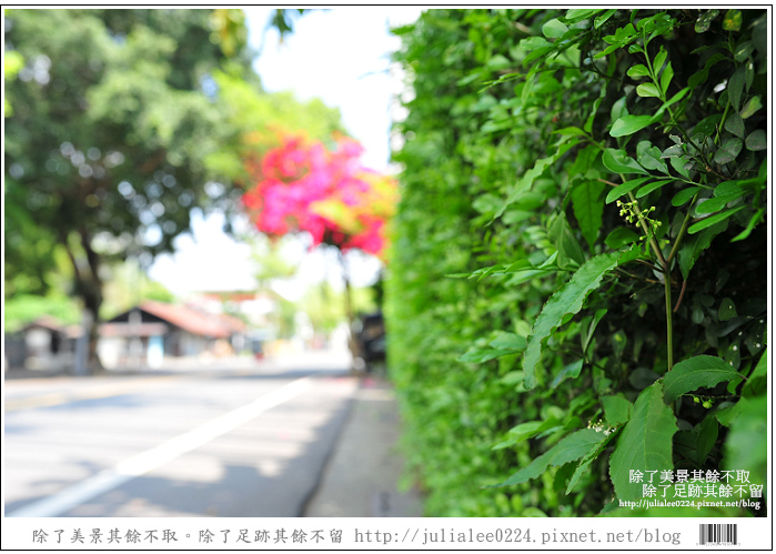 關警DSC_8571 關警DSC_8571