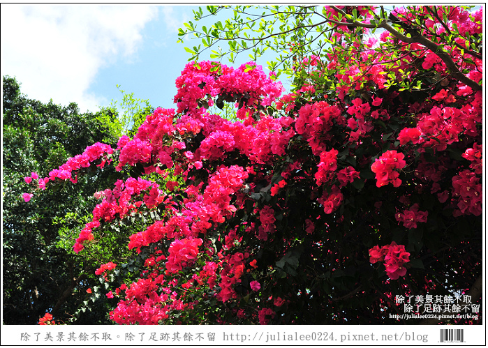 關警DSC_8578 關警DSC_8578