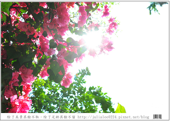 關警DSC_8580 關警DSC_8580