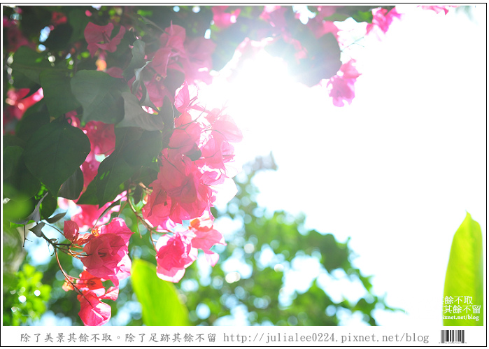 關警DSC_8584 關警DSC_8584