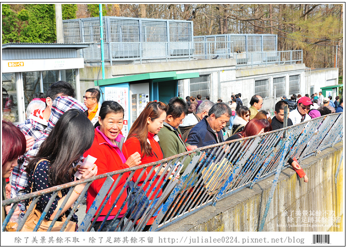 熊牧場 (9).jpg 熊牧場 (9).jpg