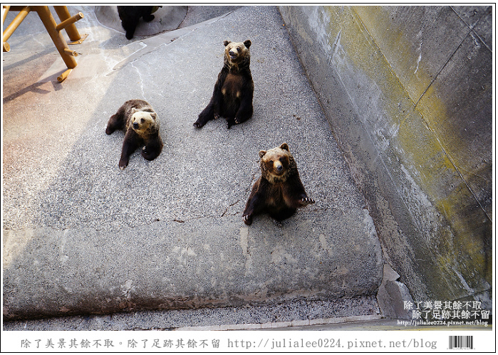 熊牧場 (55).jpg 熊牧場 (55).jpg