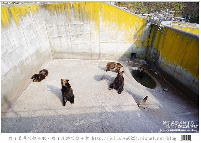 熊牧場 (70).jpg 熊牧場 (70).jpg