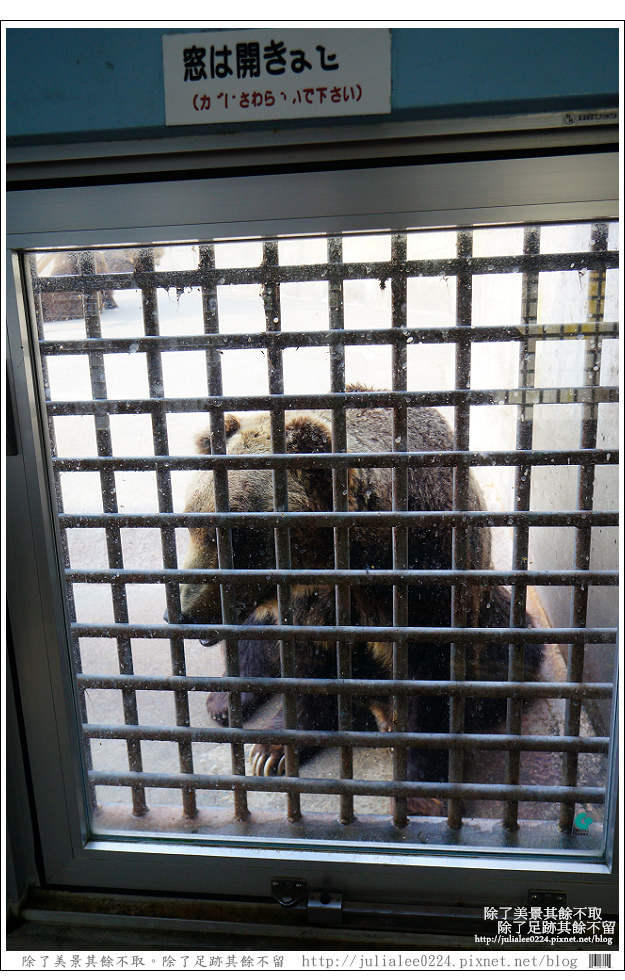 熊牧場 (80).jpg 熊牧場 (80).jpg