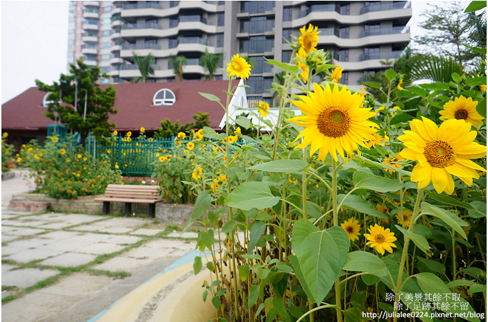 DSC04127.jpg DSC04127.jpg