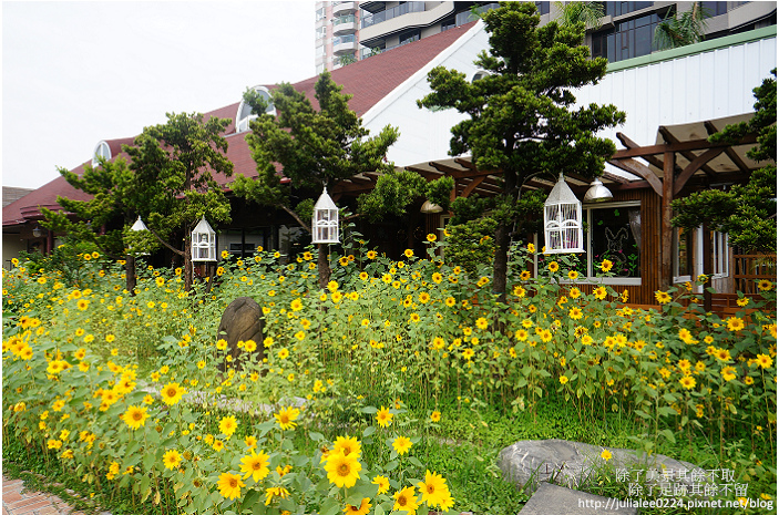 DSC04147.jpg DSC04147.jpg