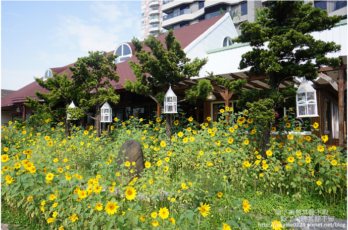 DSC04209.jpg DSC04209.jpg