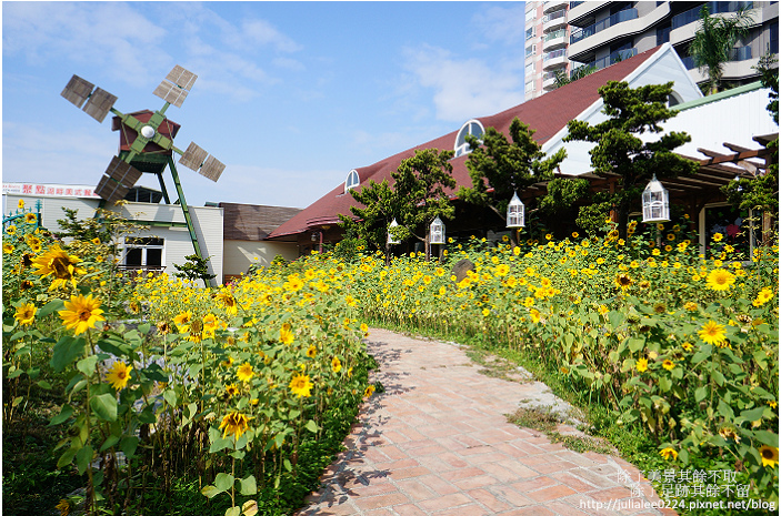 DSC04213.jpg DSC04213.jpg