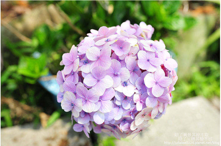 DSC_9409.jpg DSC_9409.jpg