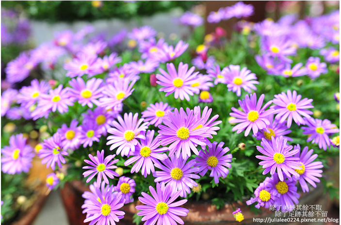 DSC_9412.jpg DSC_9412.jpg