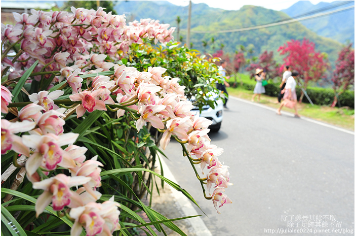 DSC_9408.jpg DSC_9408.jpg