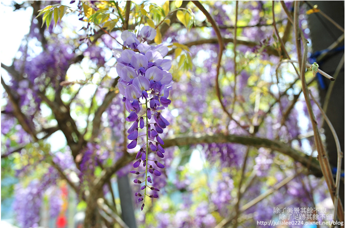 DSC_9418.jpg DSC_9418.jpg