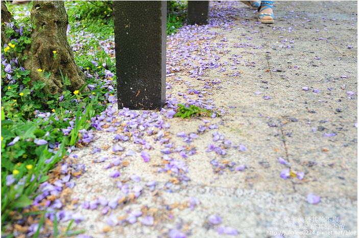 DSC_9421.jpg DSC_9421.jpg