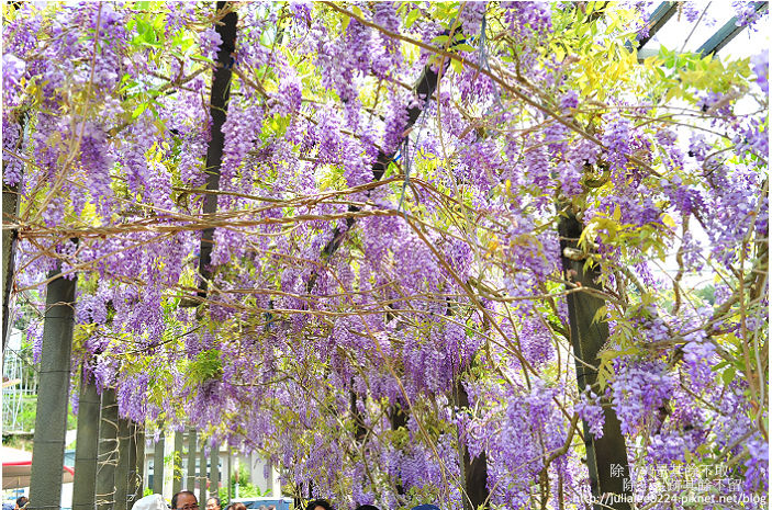 DSC_9425.jpg DSC_9425.jpg