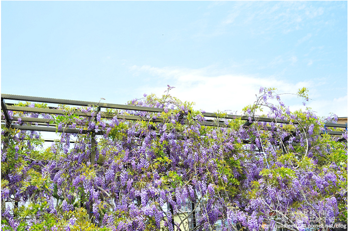 DSC_9427.jpg DSC_9427.jpg