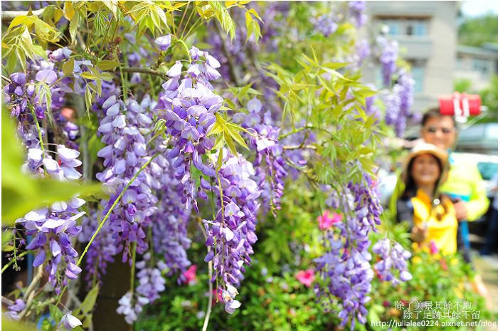 DSC_9443.jpg DSC_9443.jpg