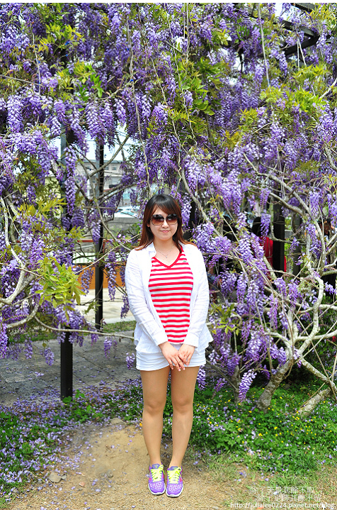 DSC_9430.jpg DSC_9430.jpg