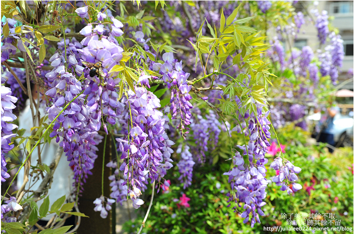 DSC_9440.jpg DSC_9440.jpg