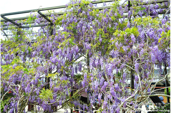 DSC_9448.jpg DSC_9448.jpg