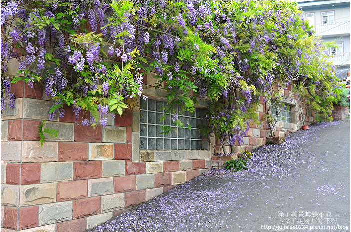 DSC_9464.jpg DSC_9464.jpg